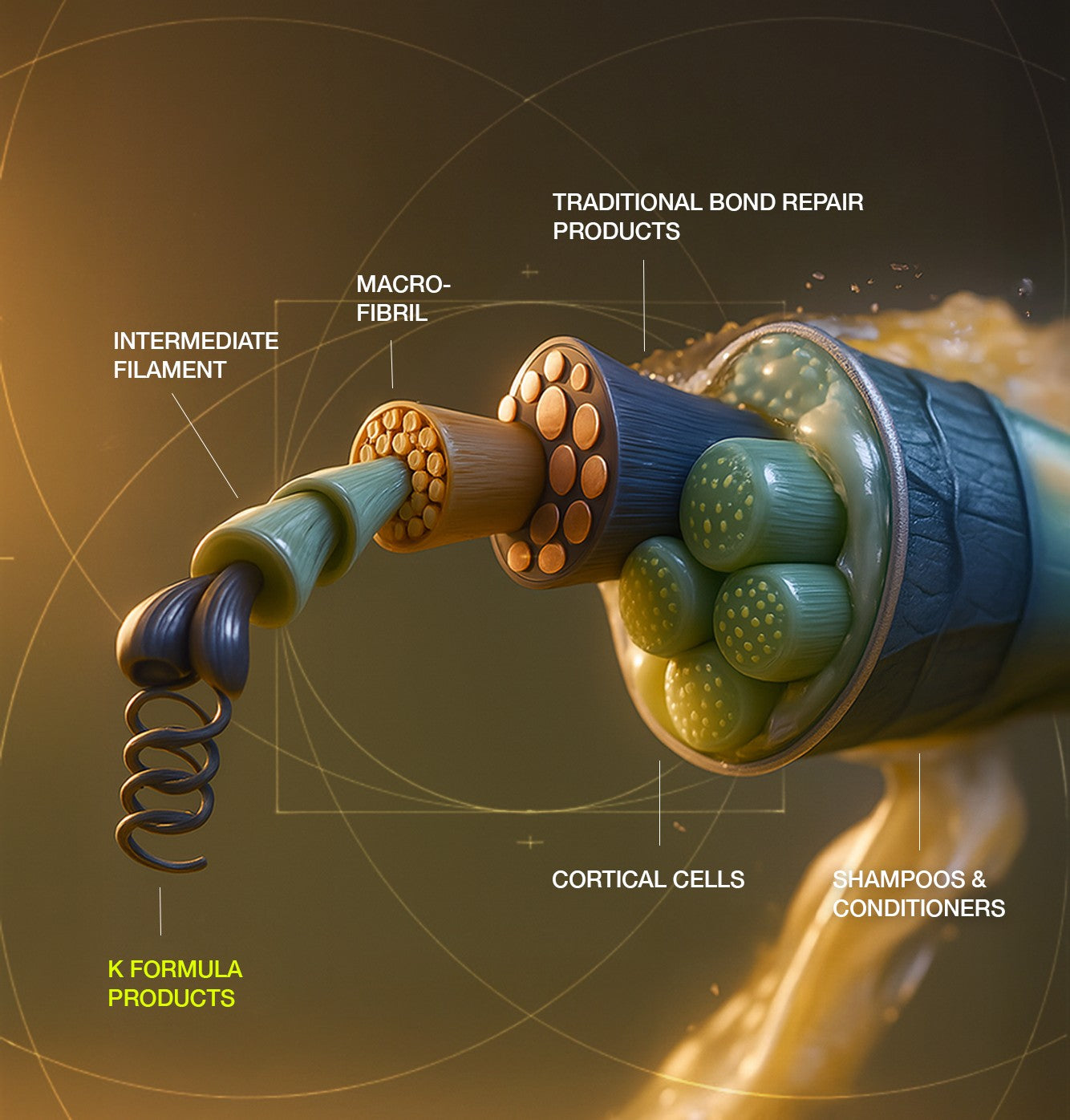 What happens inside your hair?